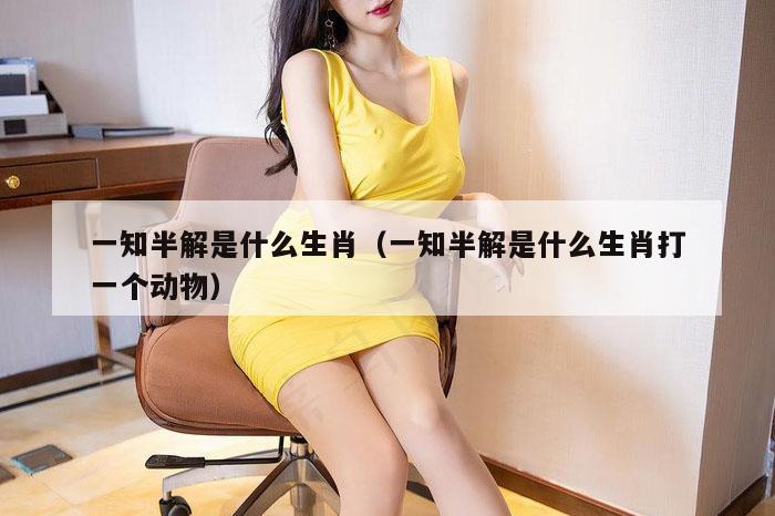 一知半解是什么生肖（一知半解是什么生肖打一个动物）